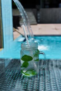 Mist of Sinharaja - 2