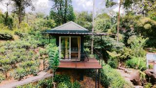 Mist of Sinharaja - 4