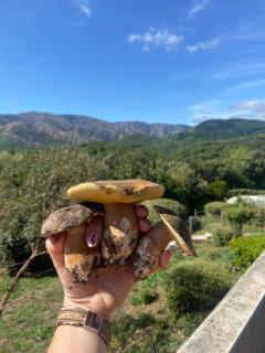 Appart 70m2 avec piscine - 1
