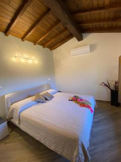 Domus Antonii - 1