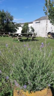 Maison de la mer - 6