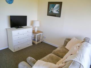 Needles And Winds - 7