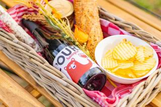 Le Bosquet des Dômes - Panorama des Puys à Cheval - 4