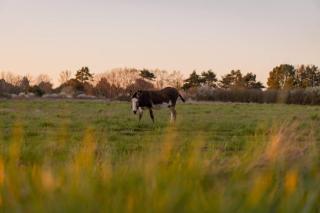 L'Échappée Royale - Beauval et Route des Châteaux - 7