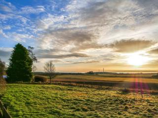 Pine Tree Cottage - Uk45925 - 8