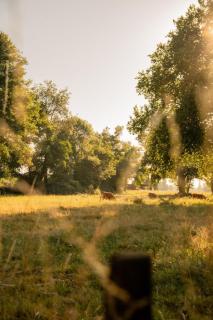 Lodge en Nature - 30 min Saint-Emilion - Salle de bain à l'italienne - 6