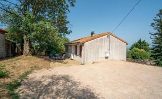 L'évasion viticole - 1