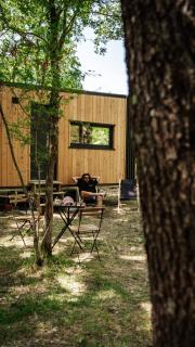 Homnest - Infusion Provençale - Lisière & Ocres - 4