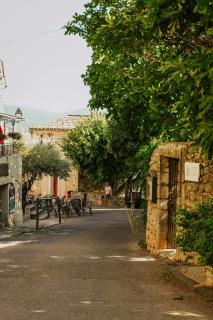 Homnest - Infusion Provençale - Lisière & Ocres - 1