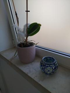 Apartamento Palomar - Pombal - 8