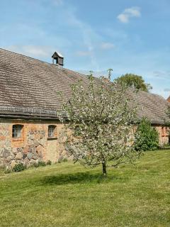 Historic Manor House In Stettiner Haff Nature Park - 7