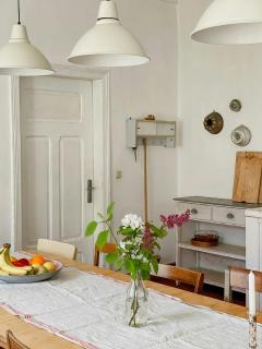 Historic Manor House In Stettiner Haff Nature Park - 6