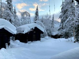 Traditional Log Cabin By Lake Seljord - Åmotsdal - 9