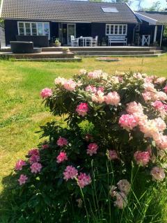 Holiday Home By Viking Grave And Protected Nature - 7