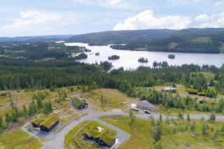 Architect-Designed Cabin With Lake Mylla Views - 5