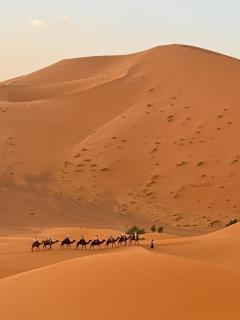 Destino Royal Camp - 1