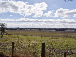 Lime Tree Cottage - 1