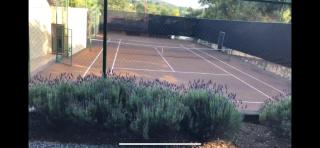 Lavender Corner - 9