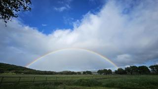 Fina El Alamo Barcarrota - 4