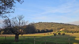 Finca El Alamo Barcarrota by PriorityVillas - 3