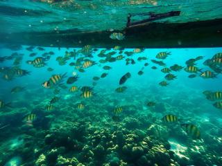 Phuket Five Fortune Holiday Hotel - 1