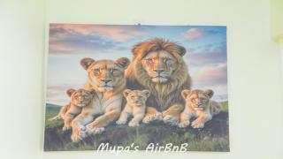 Mupa Luxury Condo IV BnB - 7