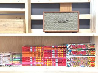 Direct Access to Osaka Expo, Osakajo - 4