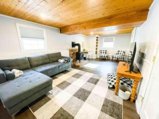Sparkling Saratoga 3BR home near Track and SPAC Dogs - 8