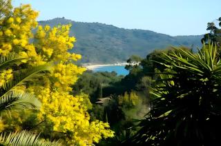 Appartement Sylvabelle - 1