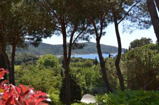 Appartement Sylvabelle - 5