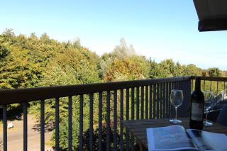 Am Grün 15 Fewo 25 - 3