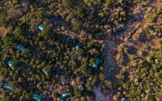 Wild Trails Yala by Mili - 0