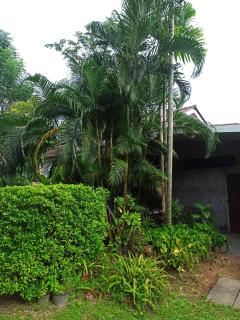 Seagull Villa - 9
