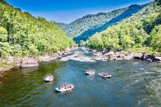 17 Min to NRG | Grill | Huge Yard | Private | Cozy - 7