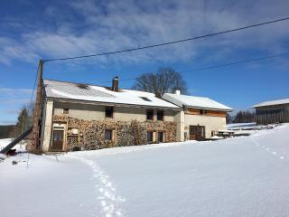 Gîte rural La Grange en pleine nature à La Pesse - 0