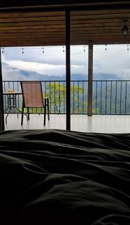 Bosque Tapantí, cerca del PN Tapantí en Orosí, Cartago, Costa Rica -  - 6