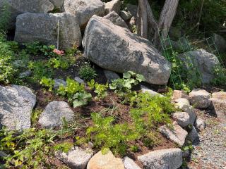 Unique private room and bath - 5