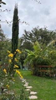 Le Petit Bois d'Amour - 9