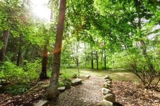 Enchanted Forest Cabin - 6