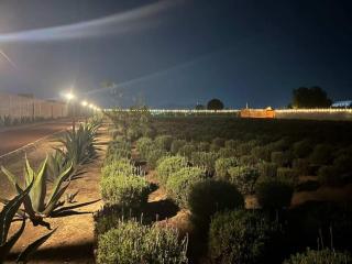 Glamping Rincón de Lavanda - Texcoco de Mora - 1