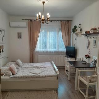 Edina Vintage Vendégház - Mosonmagyaróvár - 8