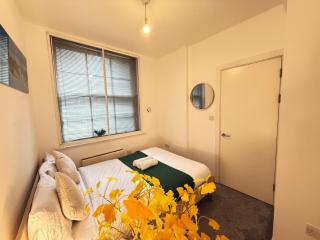 2 Bedroom Flat Kings Cross Station Central London - 9