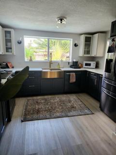 Palm and Plunder A Posh Pirate Retreat - 3