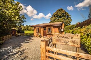 Sycamore Lodge - 9