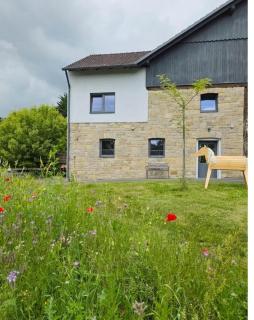 Ferienhaus in der Natur, 1-6 Personen, 3 Schlafzimmer, Spielplatz - 5