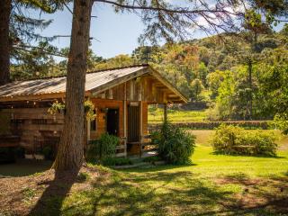 Cabana da cerveja - 4