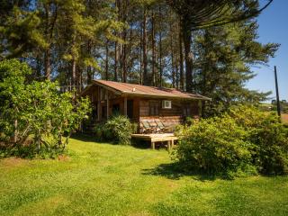 Cabana da cerveja - 3