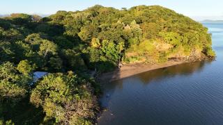 Teak house in a forest above the beach - 6