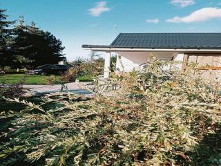New holiday home for nature lovers in Kolczewo - 5