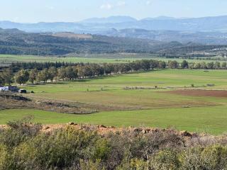 1001-Nights Palace - 1